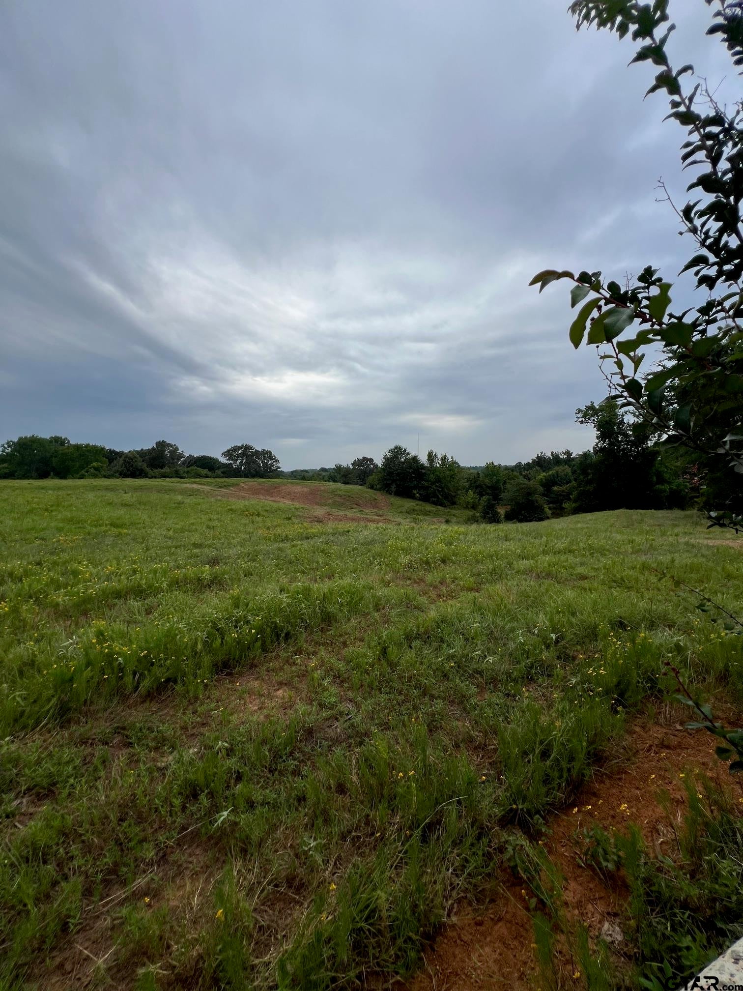 Winona, Texas, 75792, United States, 3 Bedrooms Bedrooms, ,3 BathroomsBathrooms,Residential,Active,1880186