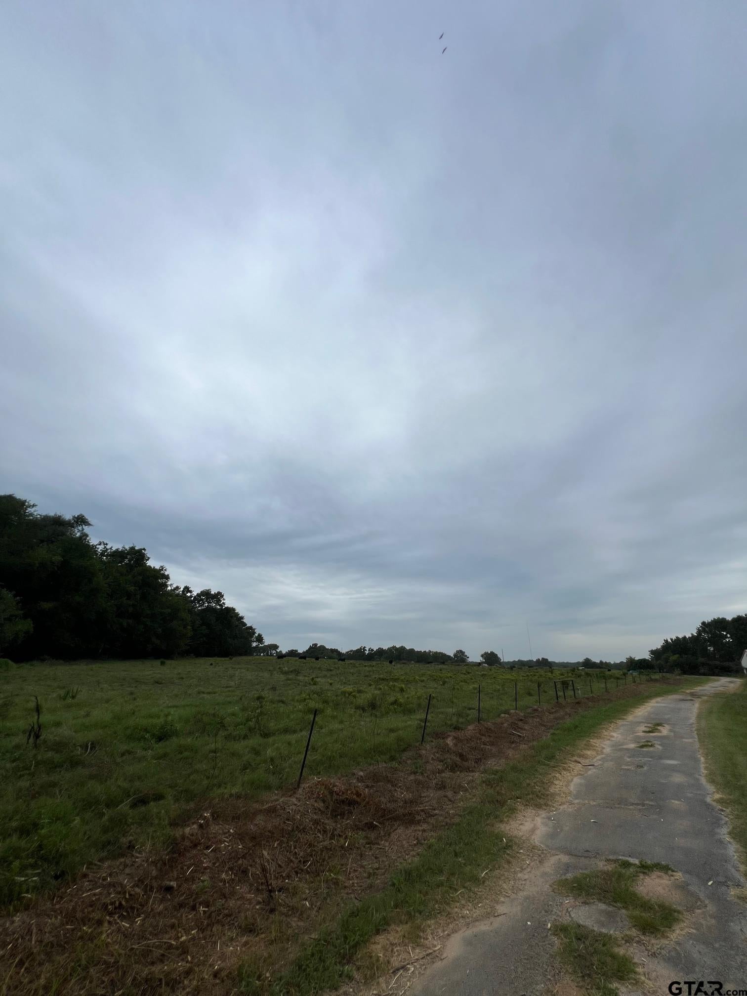 Winona, Texas, 75792, United States, 3 Bedrooms Bedrooms, ,3 BathroomsBathrooms,Residential,Active,1880186