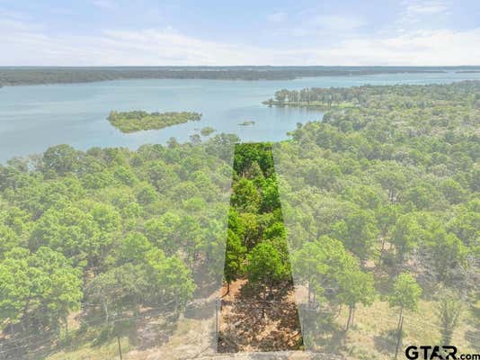 3256 SHADOW PINE DR, LARUE, TX 75770 - Image 1