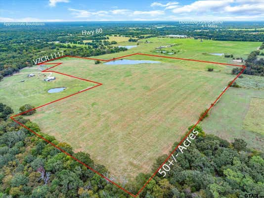 TBD (50 ACRES) VZCR 1117, GRAND SALINE, TX 75140 - Image 1