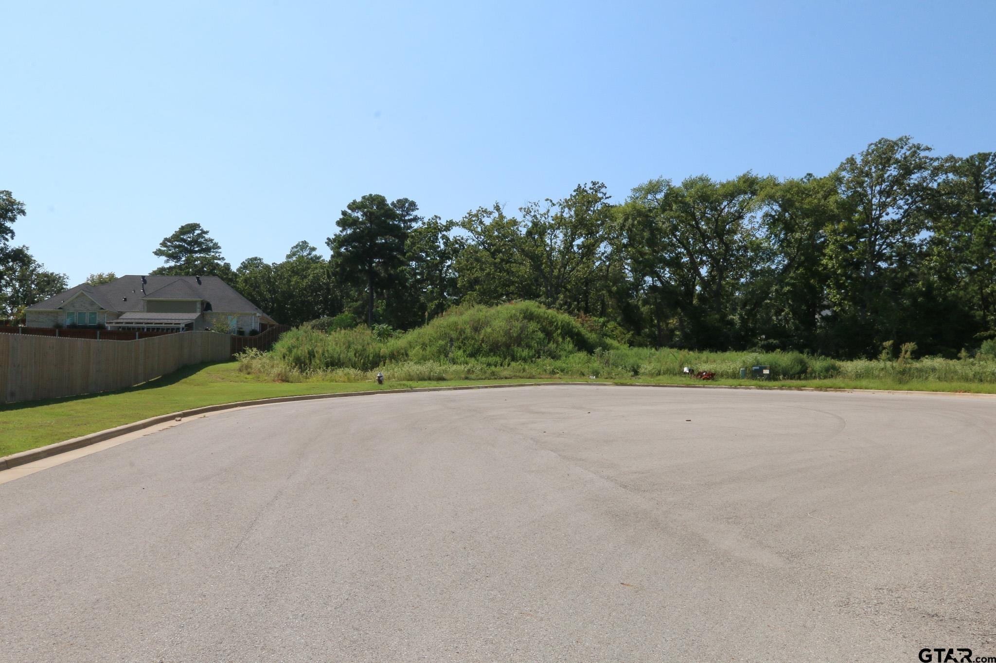 Tyler, Texas, 75703, United States, ,Residential,Active,1936106