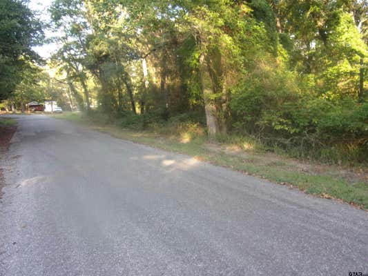 000 WILDWOOD, MURCHISON, TX 75778 - Image 1