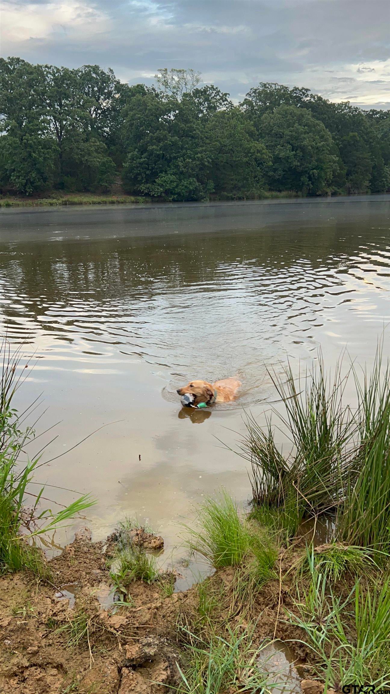 Winona, Texas, 75792, United States, 3 Bedrooms Bedrooms, ,3 BathroomsBathrooms,Residential,Active,1880186