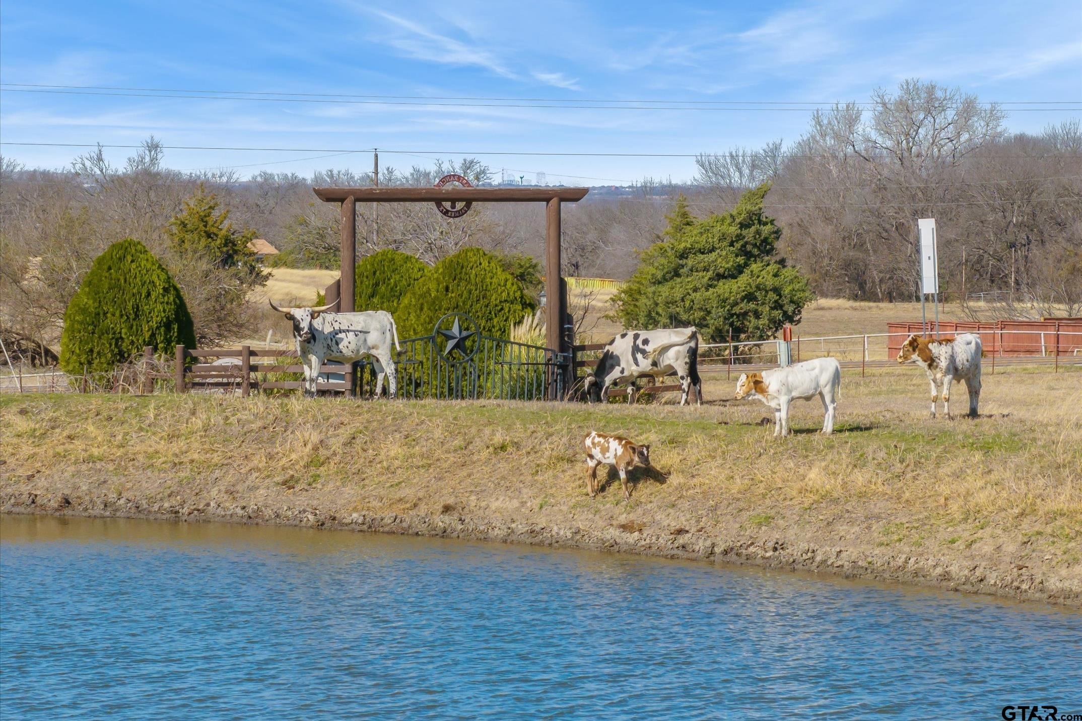 Palmer, Texas, 75152, United States, 6 Bedrooms Bedrooms, ,5 BathroomsBathrooms,Residential,Active,2011199