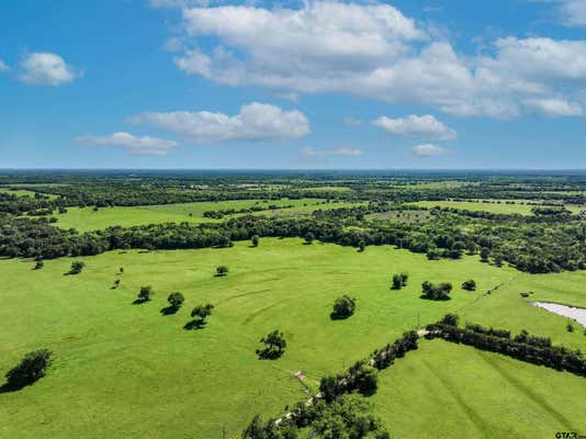 TBD COUNTY ROAD 3560, DIKE, TX 75437 - Image 1