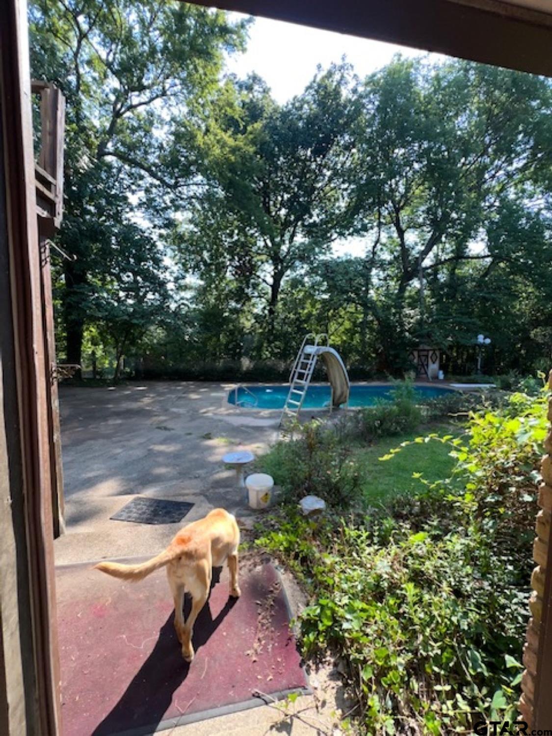 Winona, Texas, 75792, United States, 3 Bedrooms Bedrooms, ,3 BathroomsBathrooms,Residential,Active,1880186