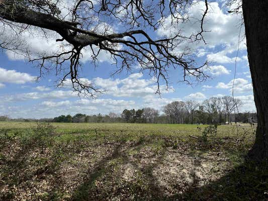 TBD LOT 1 COUNTY ROAD 401, HENDERSON, TX 75654, photo 3 of 6