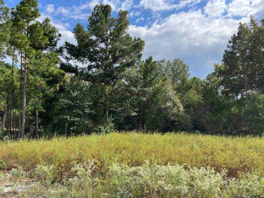 19363 CEDARPARK PL LOT 33, LINDALE, TX 75771 - Image 1