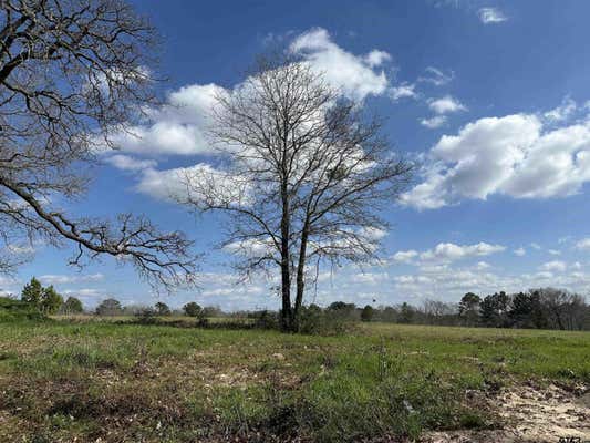 TBD LOT 1 COUNTY ROAD 401, HENDERSON, TX 75654, photo 4 of 6