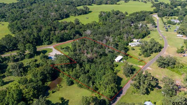 1243 AN COUNTY ROAD 2223, TENNESSEE COLONY, TX 75861 - Image 1