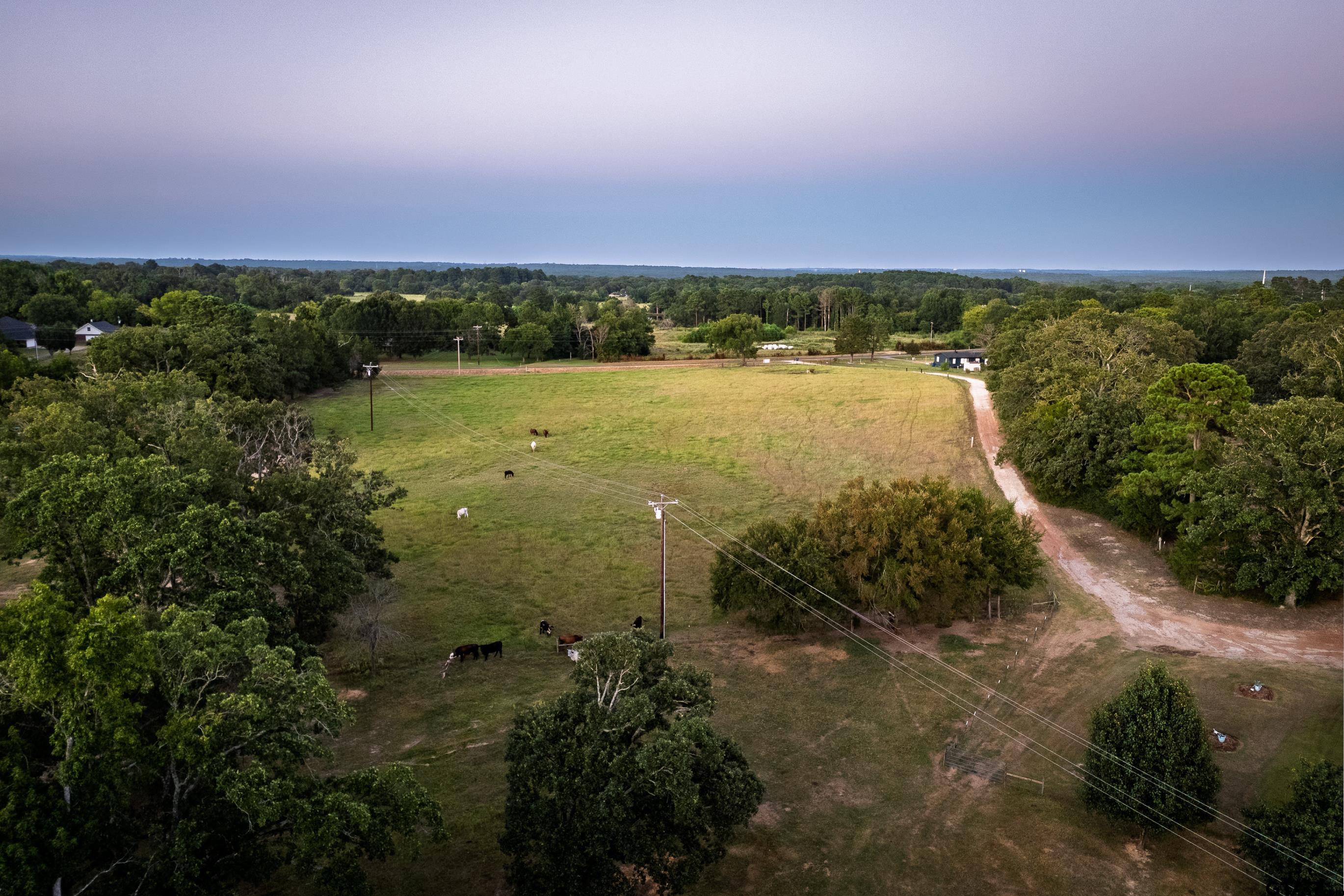 Chandler, Texas, 75758, United States, 3 Bedrooms Bedrooms, ,3 BathroomsBathrooms,Residential,Active,1905365