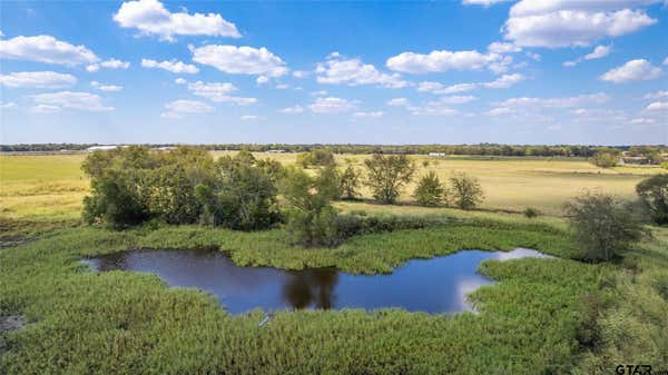 6085 W STATE HIGHWAY 154, YANTIS, TX 75497 - Image 1