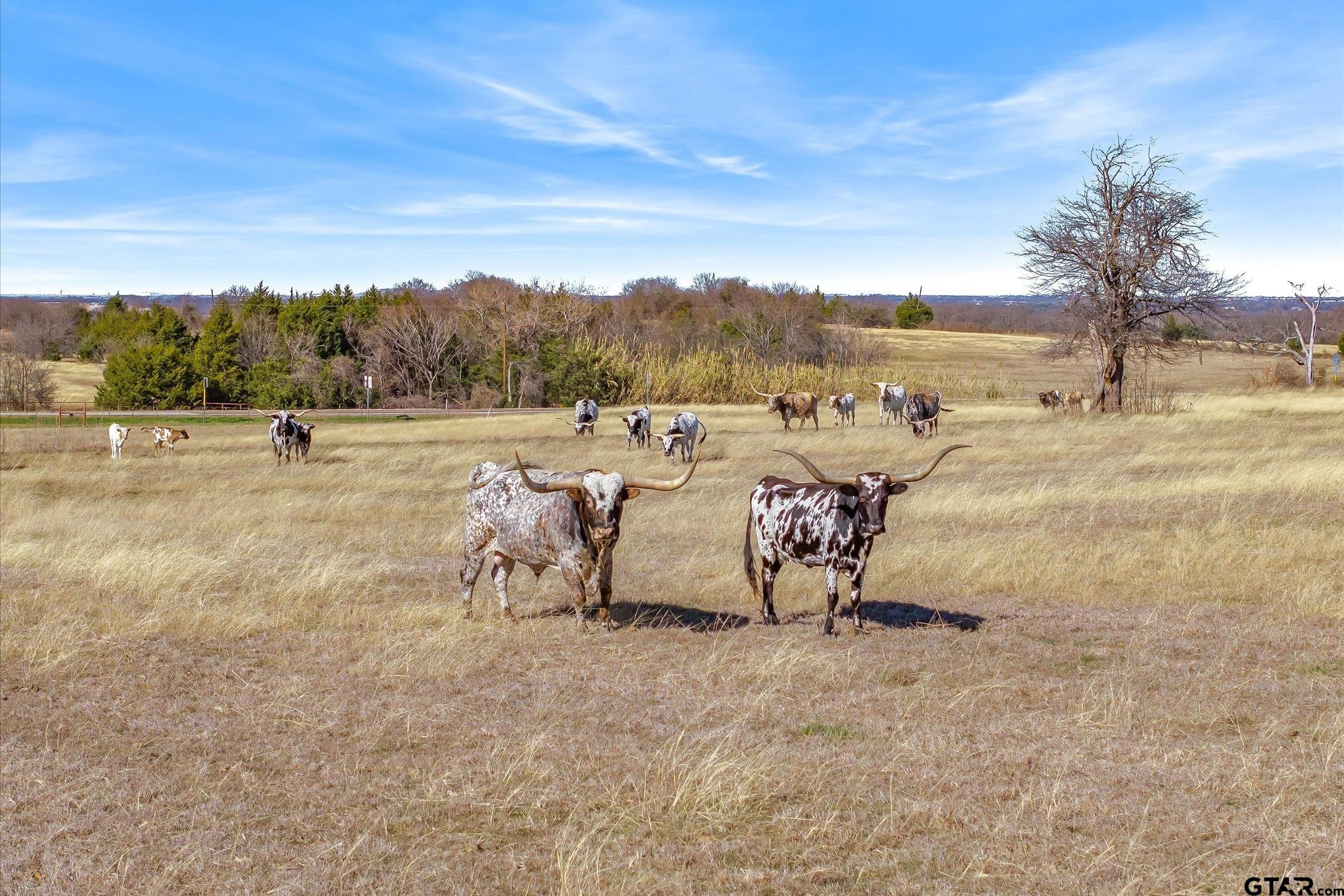 Palmer, Texas, 75152, United States, 6 Bedrooms Bedrooms, ,5 BathroomsBathrooms,Residential,Active,2011199