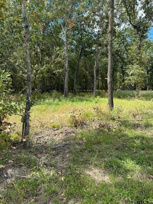 LOT 21 ANGLER SHORES DRIVE, YANTIS, TX 75497 - Image 1