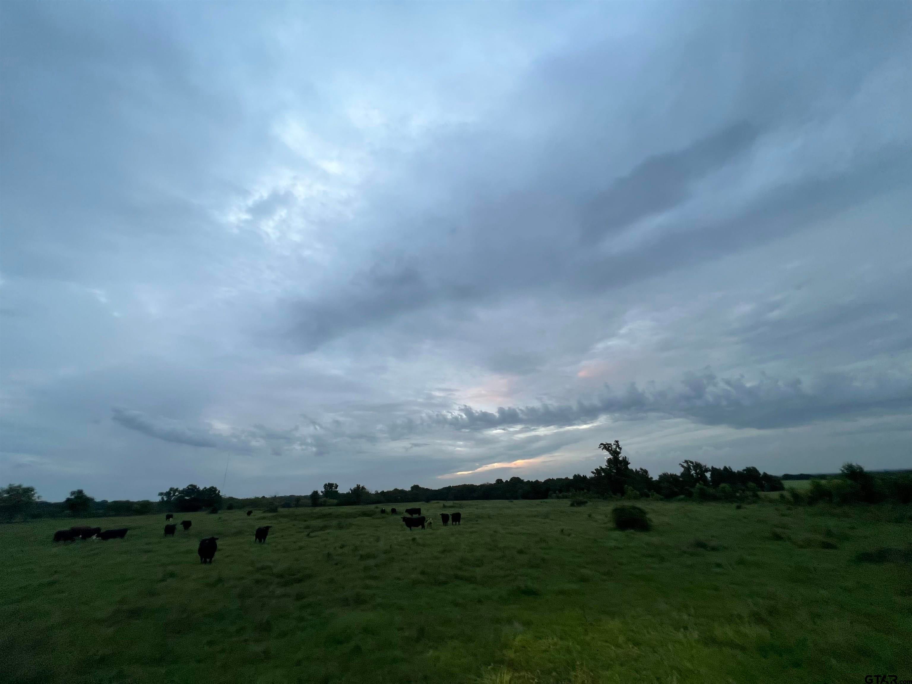 Winona, Texas, 75792, United States, 3 Bedrooms Bedrooms, ,3 BathroomsBathrooms,Residential,Active,1880186