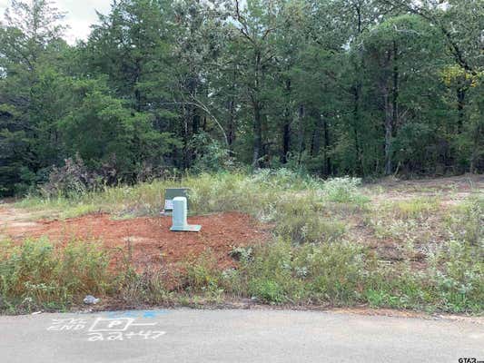 TBD CEDARPARK PLACE LOT 21, LINDALE, TX 75771 - Image 1