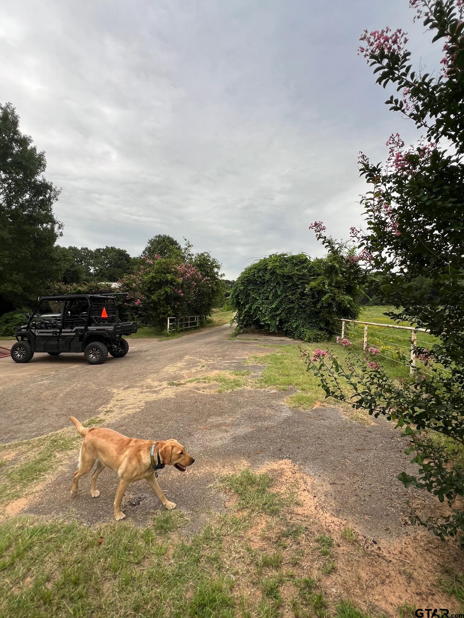 Winona, Texas, 75792, United States, 3 Bedrooms Bedrooms, ,3 BathroomsBathrooms,Residential,Active,1880186