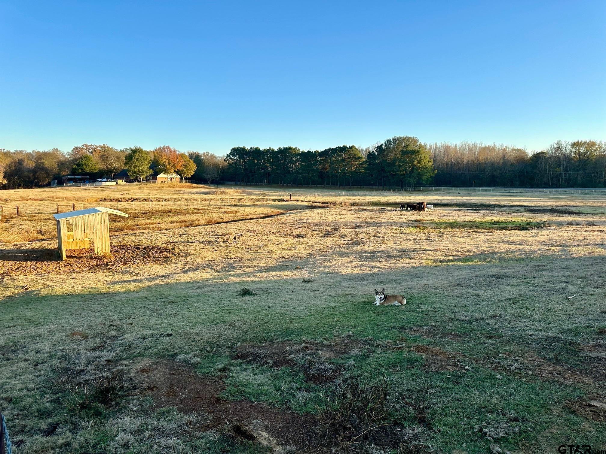 Bullard, Texas, 75757, United States, 4 Bedrooms Bedrooms, ,5 BathroomsBathrooms,Residential,Active,2007040