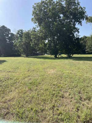 TBD FM 1519, LEESBURG, TX 75451 - Image 1