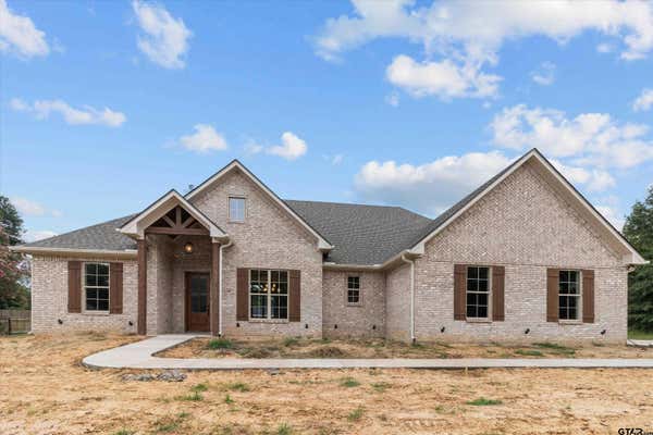 446 AN COUNTY ROAD 3009, FRANKSTON, TX 75763 - Image 1