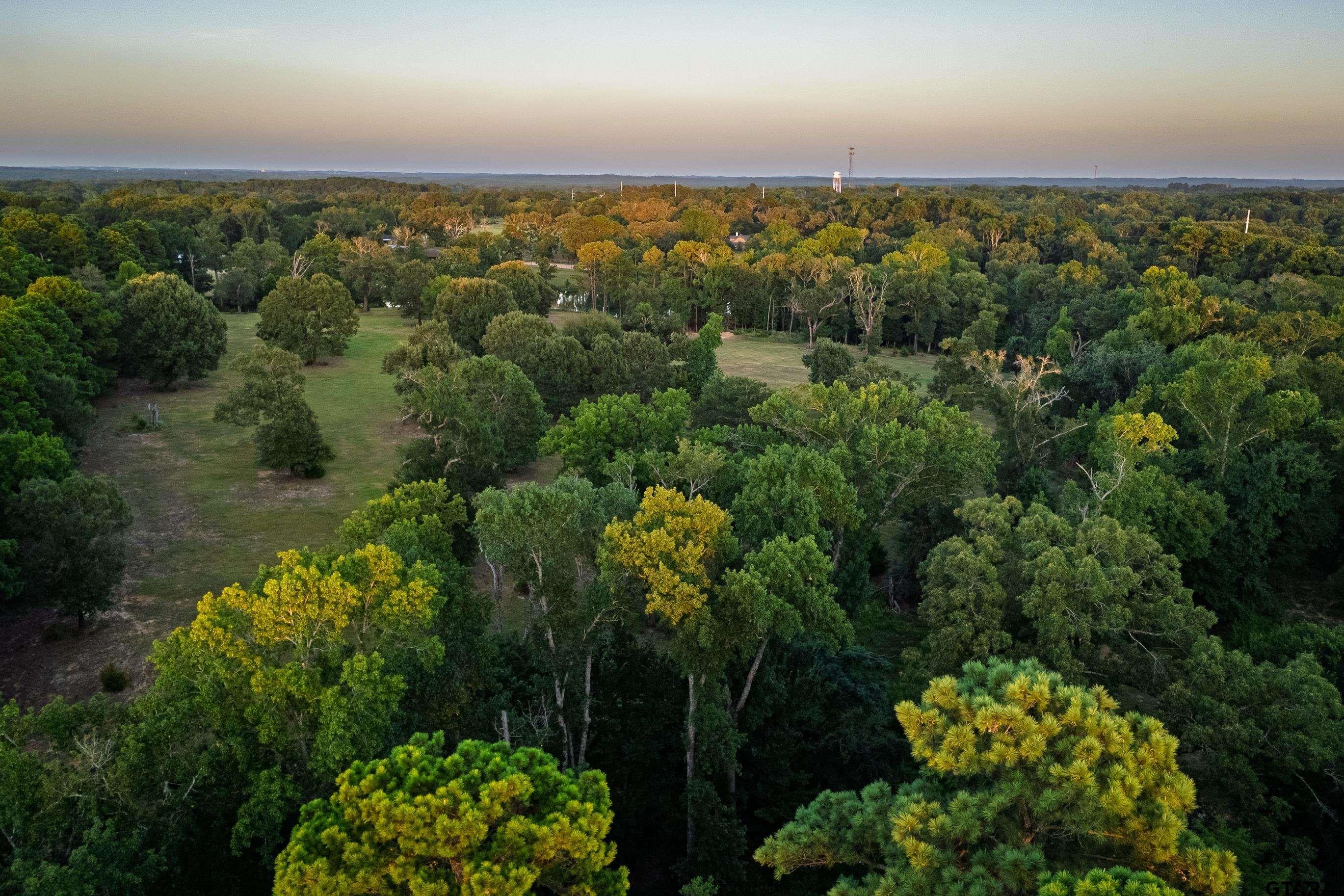 Chandler, Texas, 75758, United States, 3 Bedrooms Bedrooms, ,3 BathroomsBathrooms,Residential,Active,1905365