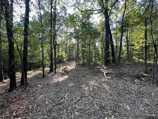 10.13 ACRES FM 852, GILMER, TX 75644, photo 5 of 19