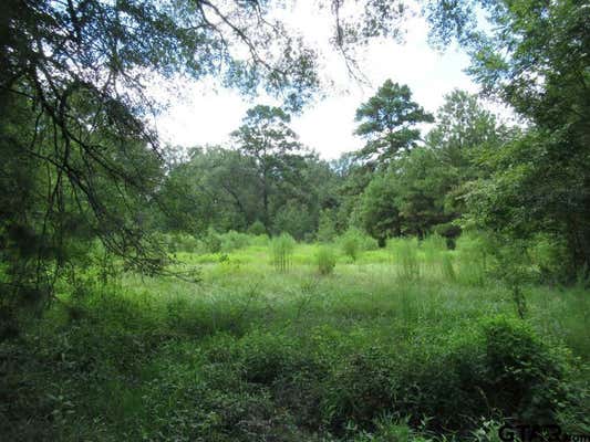 37.53 AC OFF FM 357, APPLE SPRINGS, TX 75926, photo 2 of 14