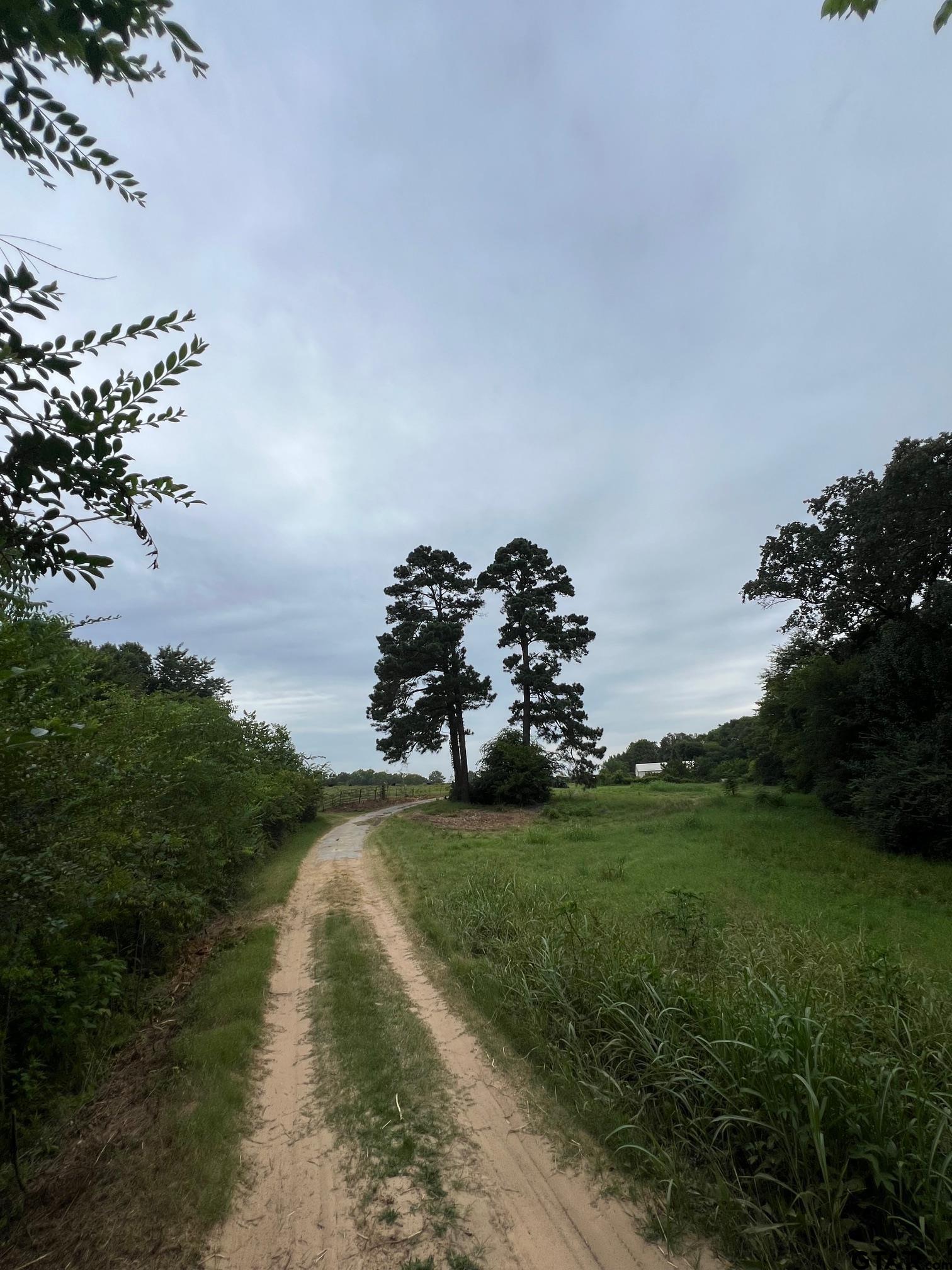 Winona, Texas, 75792, United States, 3 Bedrooms Bedrooms, ,3 BathroomsBathrooms,Residential,Active,1880186