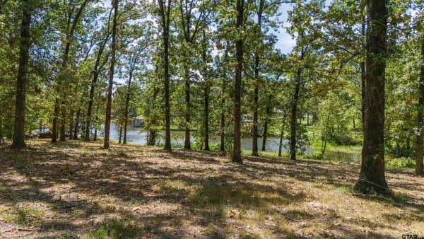 TBD BASS CREEK TRAIL, MT PLEASANT, TX 75455 - Image 1