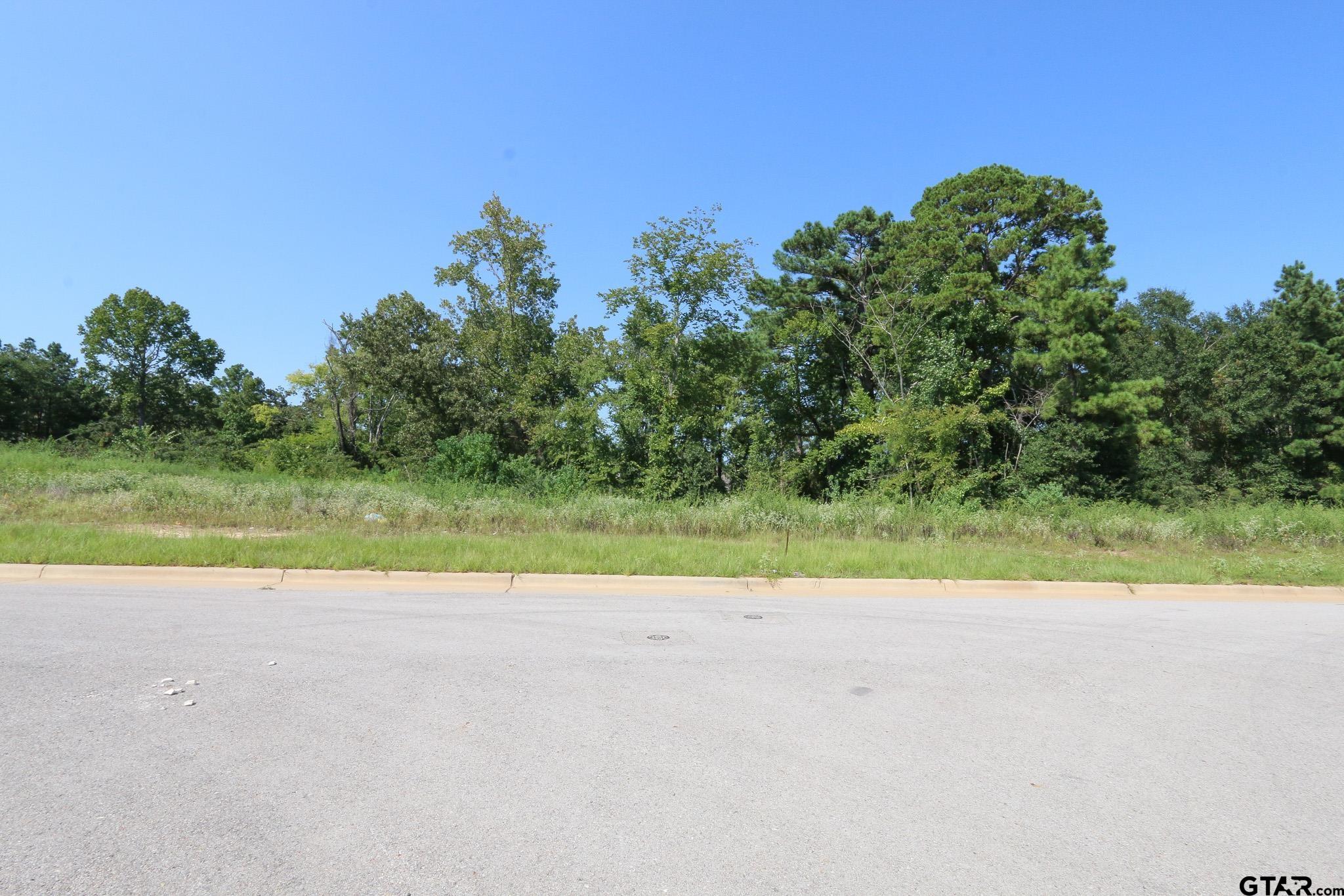 Tyler, Texas, 75703, United States, ,Residential,Active,1936106