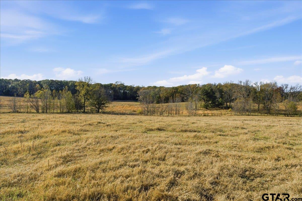 Sulphur Springs, Texas, 75482, United States, 4 Bedrooms Bedrooms, ,4 BathroomsBathrooms,Residential,Active,1999168