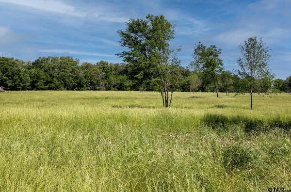 TBD 002 VZ COUNTY ROAD 1805, GRAND SALINE, TX 75140, photo 3 of 21