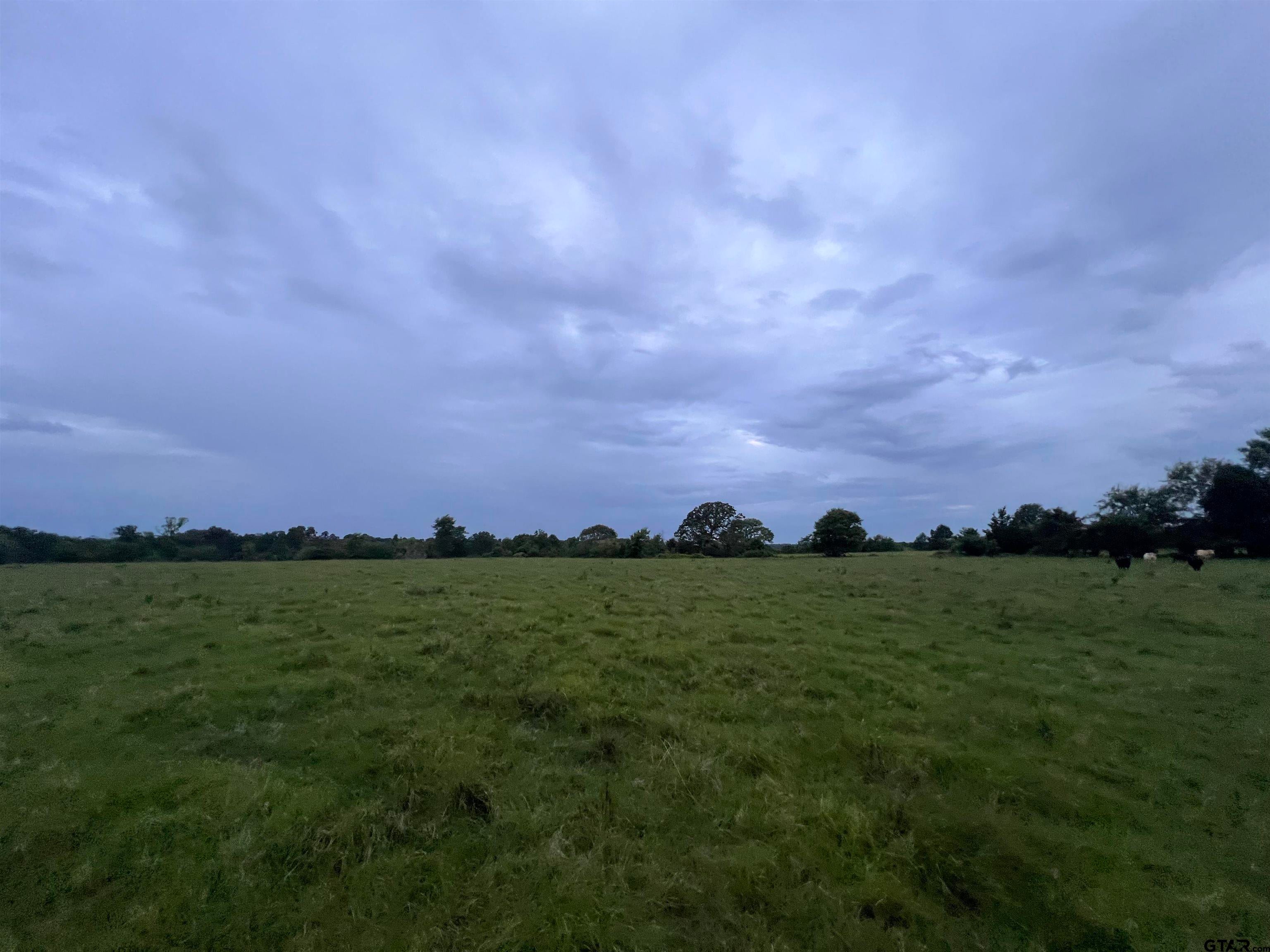 Winona, Texas, 75792, United States, 3 Bedrooms Bedrooms, ,3 BathroomsBathrooms,Residential,Active,1880186