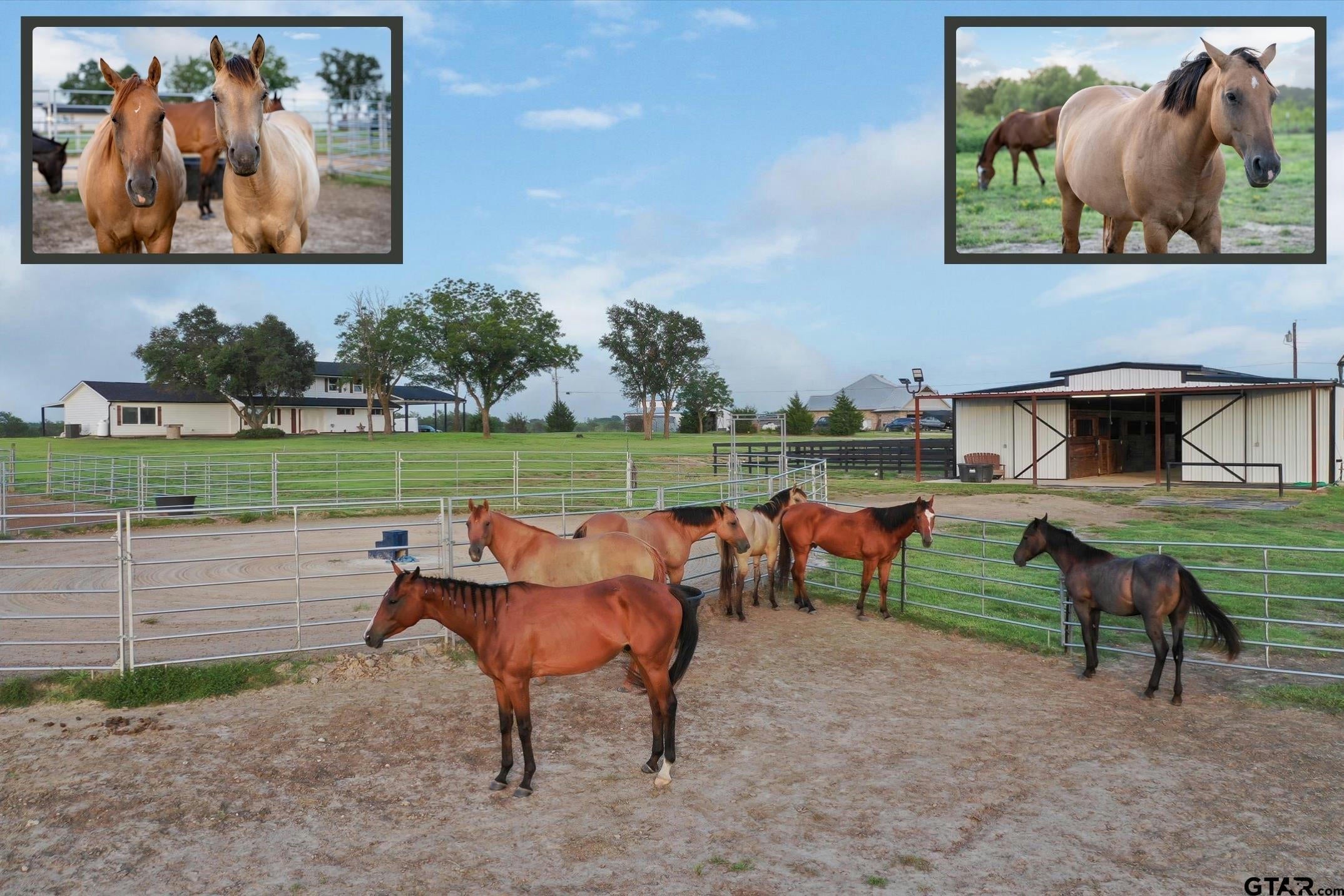 Kaufman, Texas, 75142, United States, 4 Bedrooms Bedrooms, ,3 BathroomsBathrooms,Residential,Active,1808205