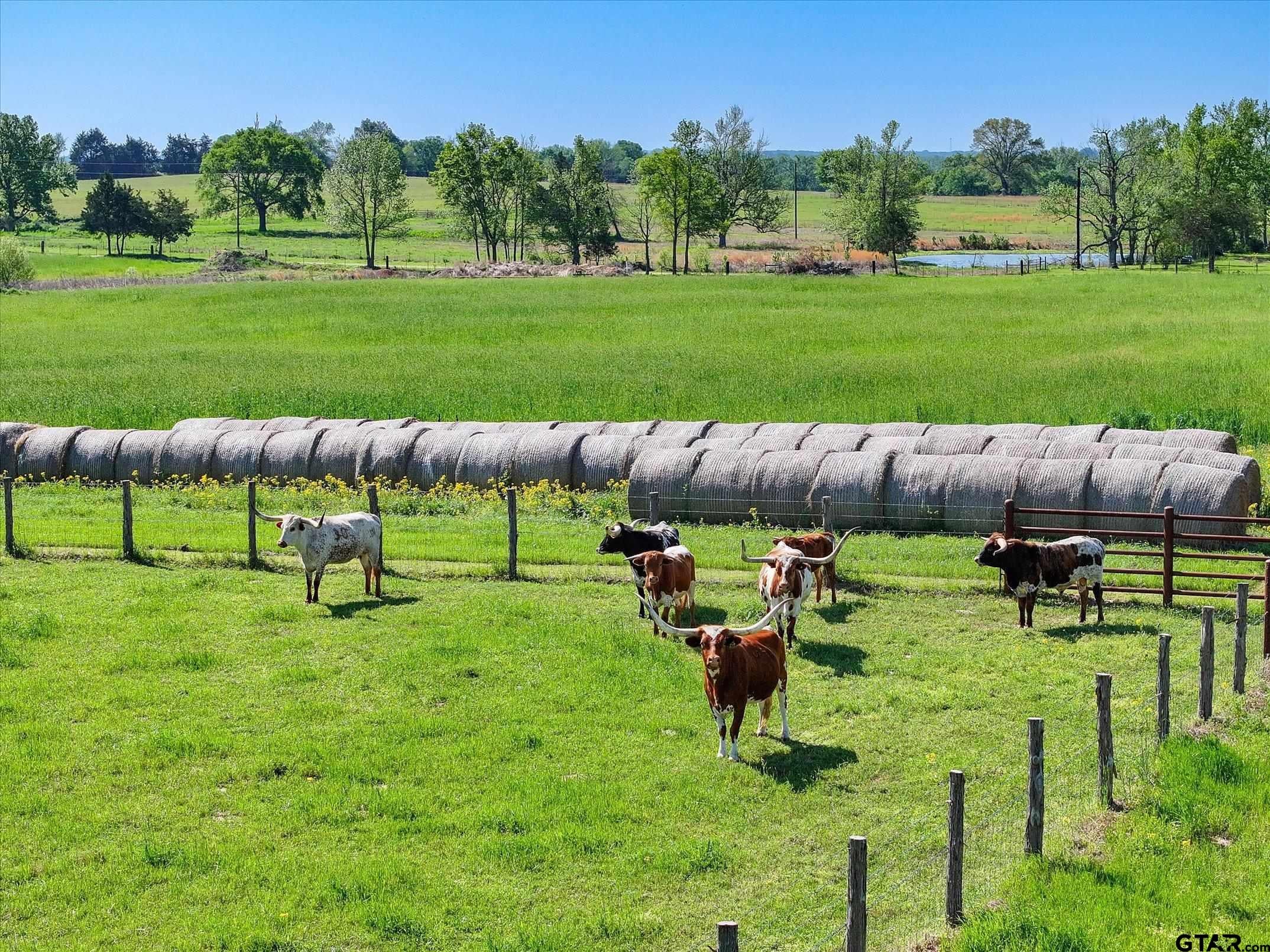 Ben Wheeler, Texas, 75754, United States, ,3 BathroomsBathrooms,Residential,Active,1808234