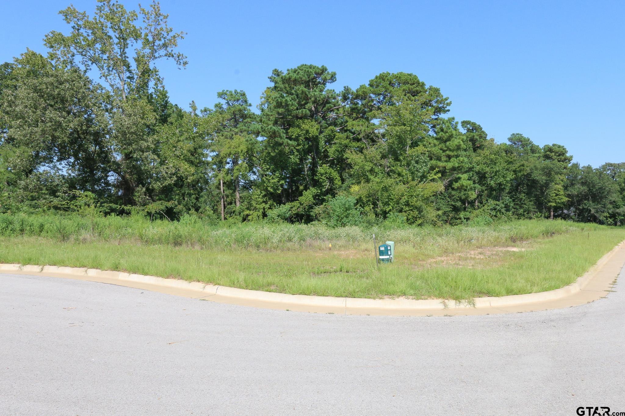 Tyler, Texas, 75703, United States, ,Residential,Active,1936106