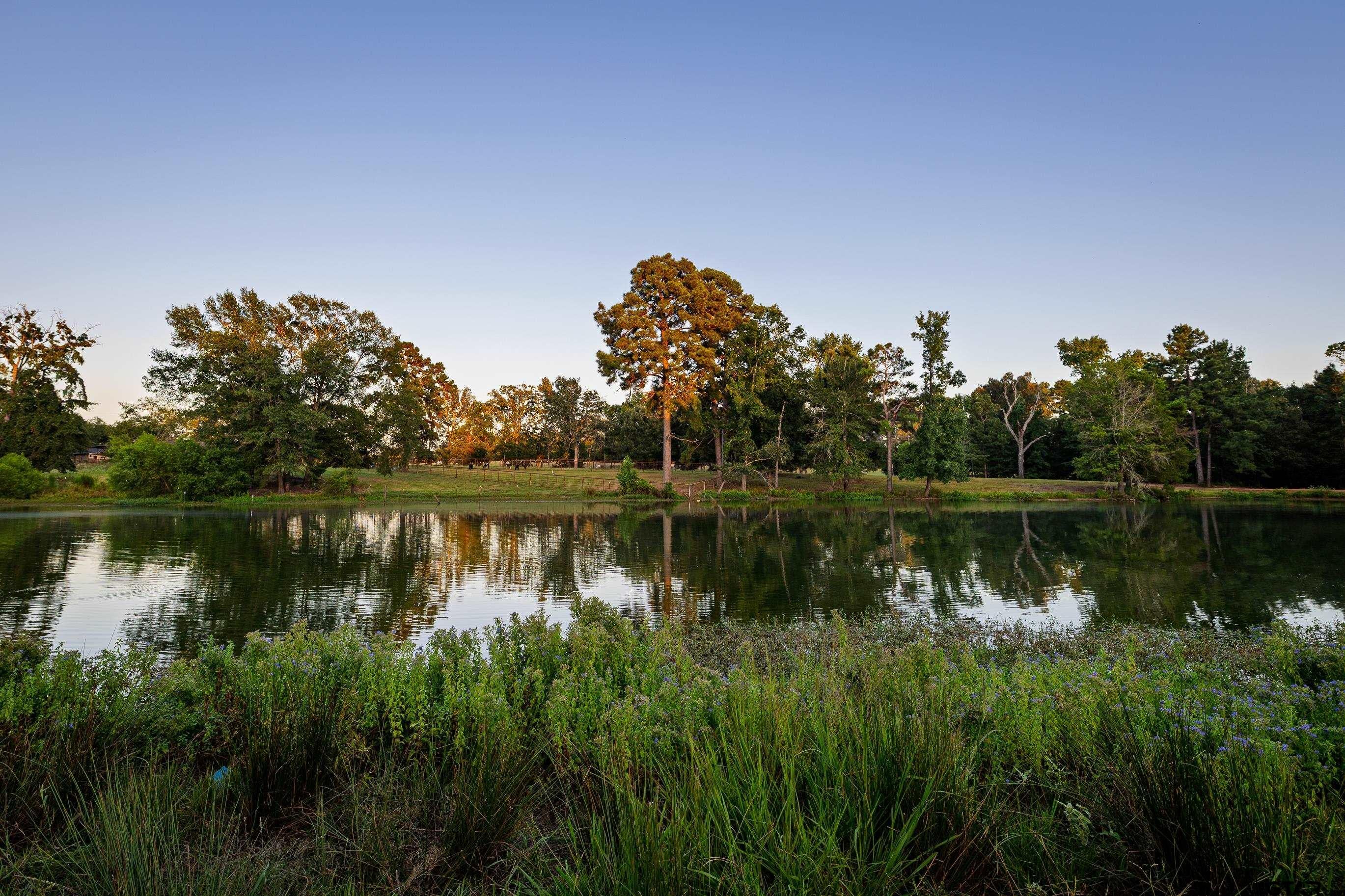 Chandler, Texas, 75758, United States, 3 Bedrooms Bedrooms, ,3 BathroomsBathrooms,Residential,Active,1905365