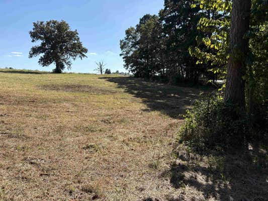 LOT 1 1.18 TBD FM 15, TROUP, TX 75789 - Image 1