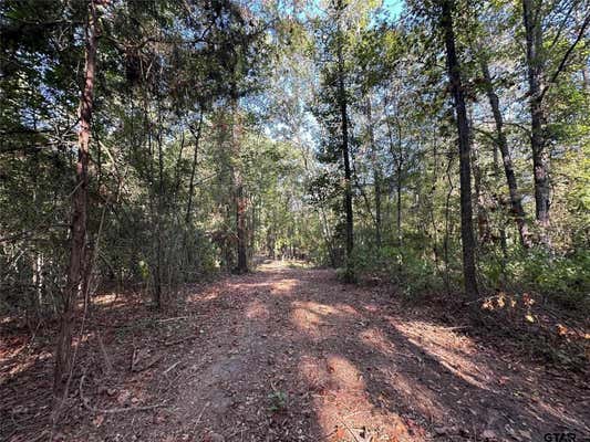 10.13 ACRES FM 852, GILMER, TX 75644, photo 3 of 19