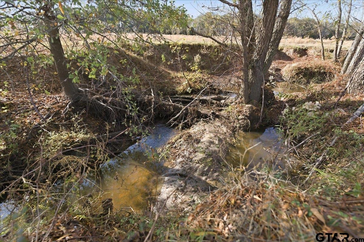 Sulphur Springs, Texas, 75482, United States, 4 Bedrooms Bedrooms, ,4 BathroomsBathrooms,Residential,Active,1999168