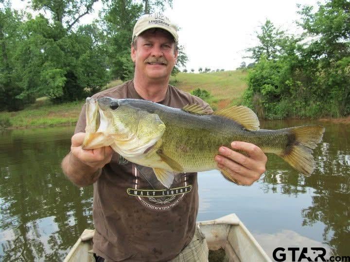 Winona, Texas, 75792, United States, 3 Bedrooms Bedrooms, ,3 BathroomsBathrooms,Residential,Active,1880186