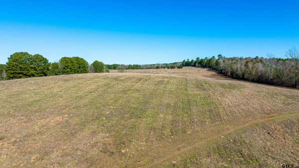 TBD CR 1345, LINDEN, TX 75563 - Image 1