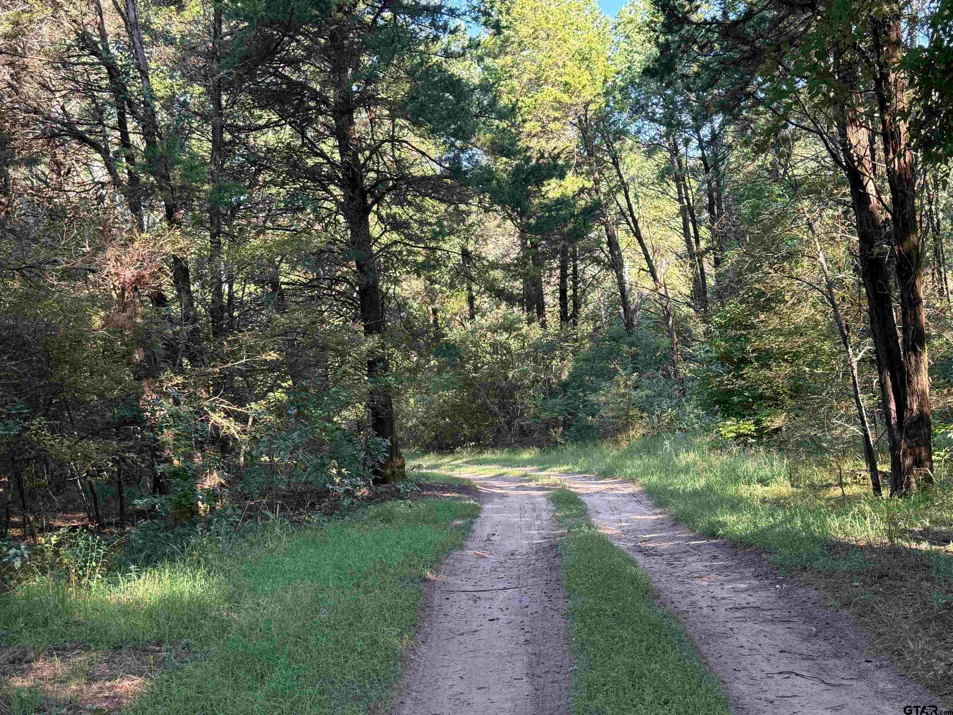 Lindale, Texas, 75771, United States, 1 Bedroom Bedrooms, ,1 BathroomBathrooms,Residential,Active,1941103