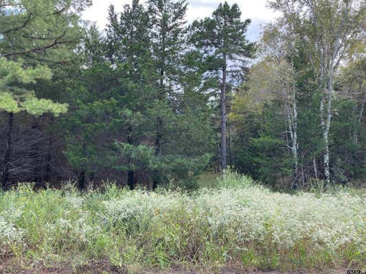 TBD CEDARPARK PLACE LOT 25, LINDALE, TX 75771 - Image 1