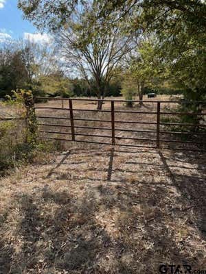 0 AN COUNTY ROAD 2805, TENNESSEE COLONY, TX 75861 - Image 1