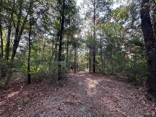 10.13 ACRES FM 852, GILMER, TX 75644, photo 4 of 19