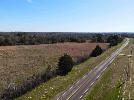 TBD LOT 10 & 11 FM 645, TENNESSEE COLONY, TX 75861 - Image 1