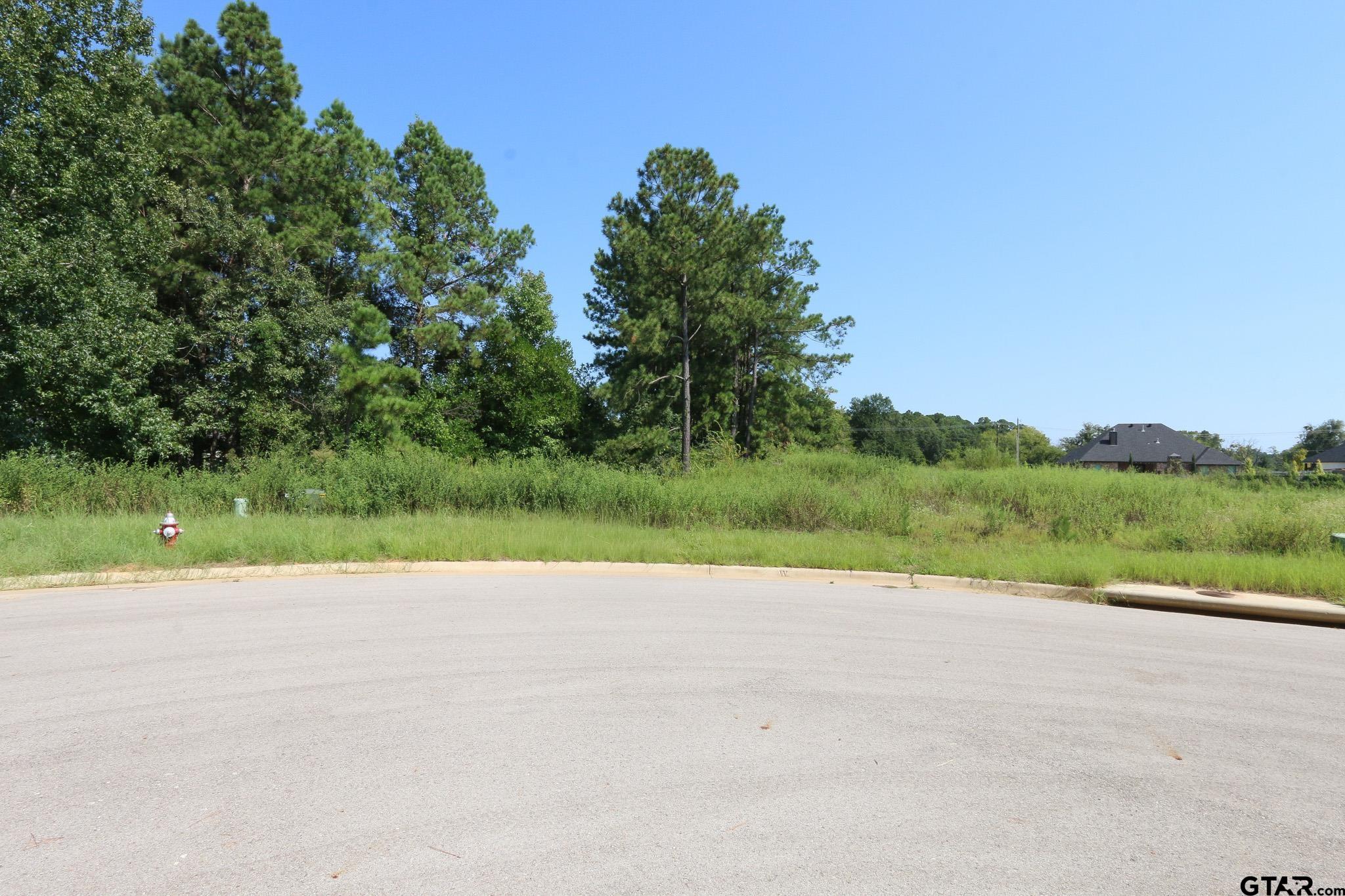 Tyler, Texas, 75703, United States, ,Residential,Active,1936106