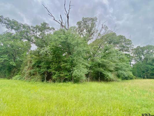 0 S STATE HIGHWAY 19, ELKHART, TX 75839, photo 3 of 7