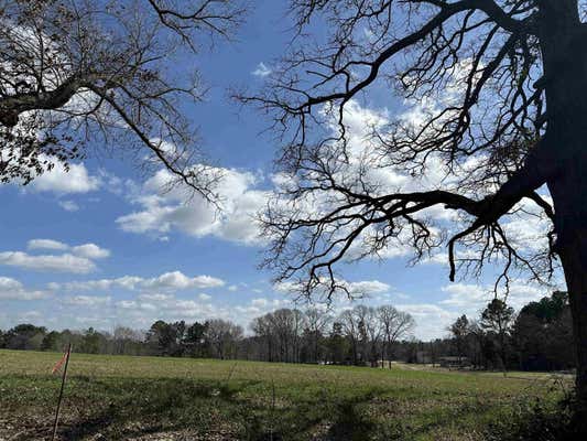 TBD LOT 1 COUNTY ROAD 401, HENDERSON, TX 75654, photo 5 of 6